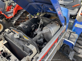 CHENILLES 22 CV (6)